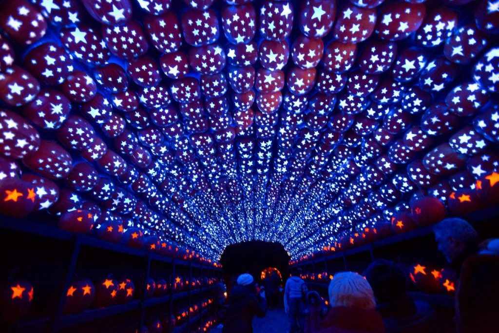Facebook / The Great Jack O'Lantern Blaze | Things to do in NYC in the Fall 2021