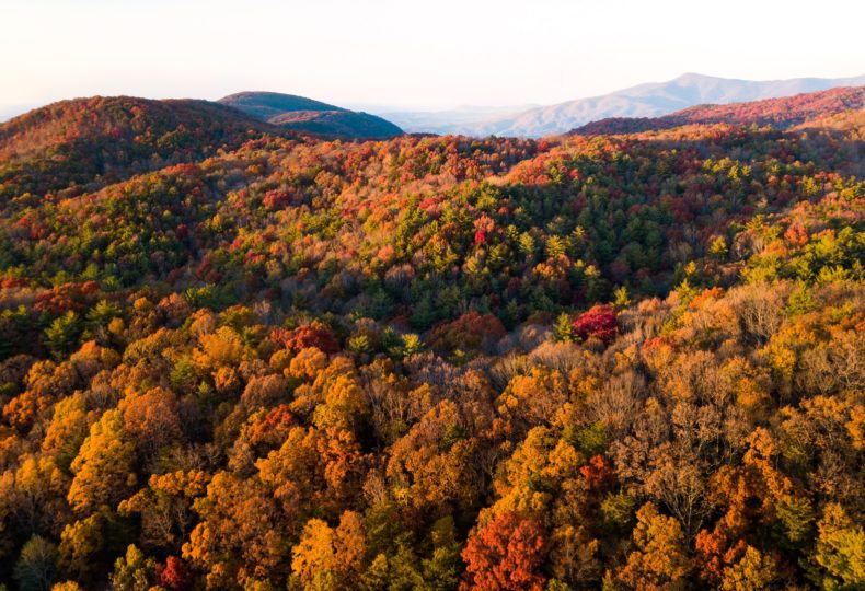 Windham Mountain Skyride